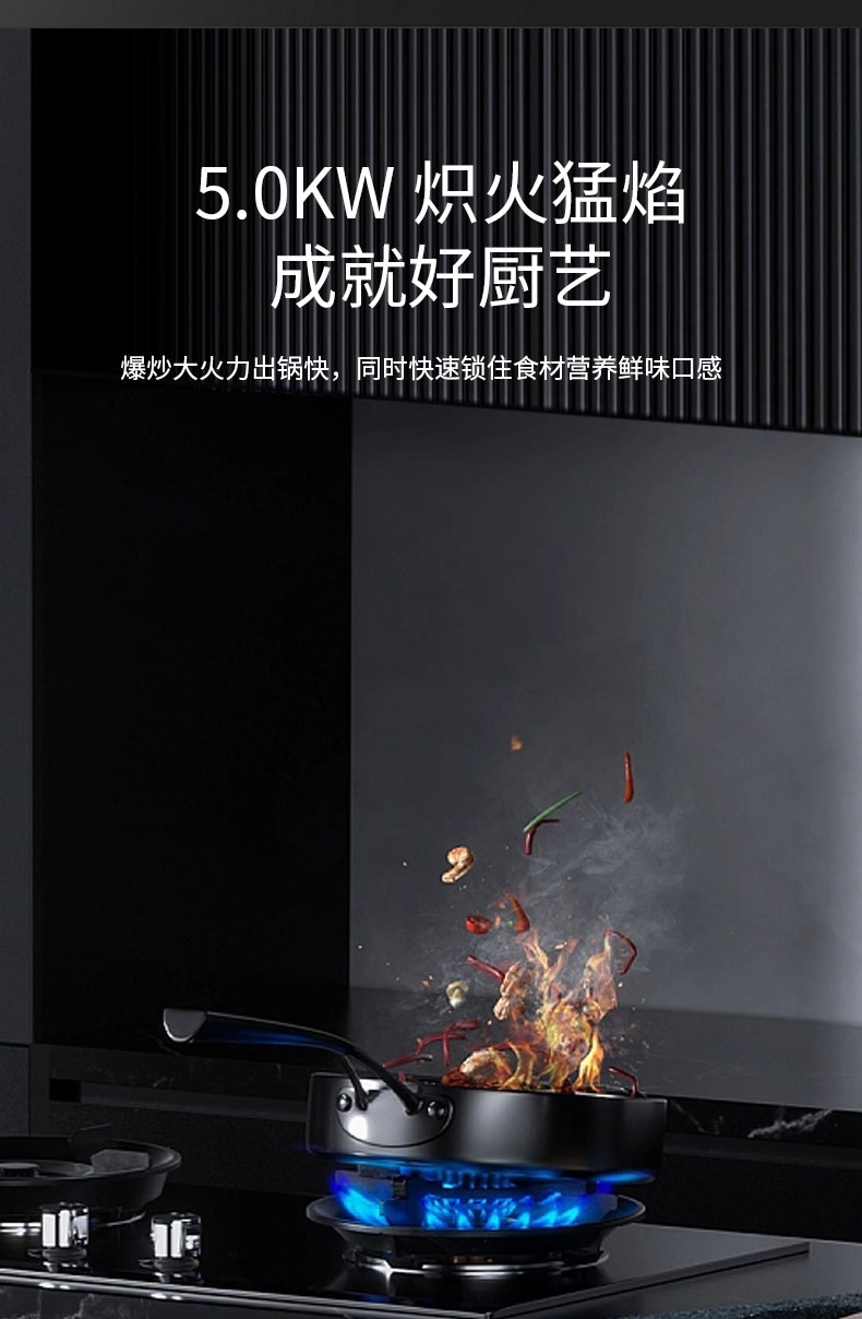 JZT-Q81灶具详情_03.jpg